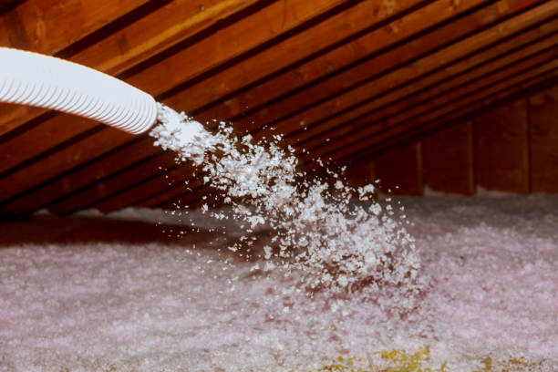 Best Insulation Maintenance and Repair in Lowes Island, VA